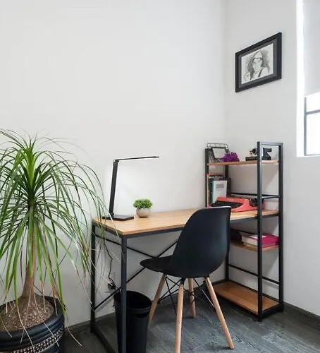 Lovely 2br In Condesa Mexico